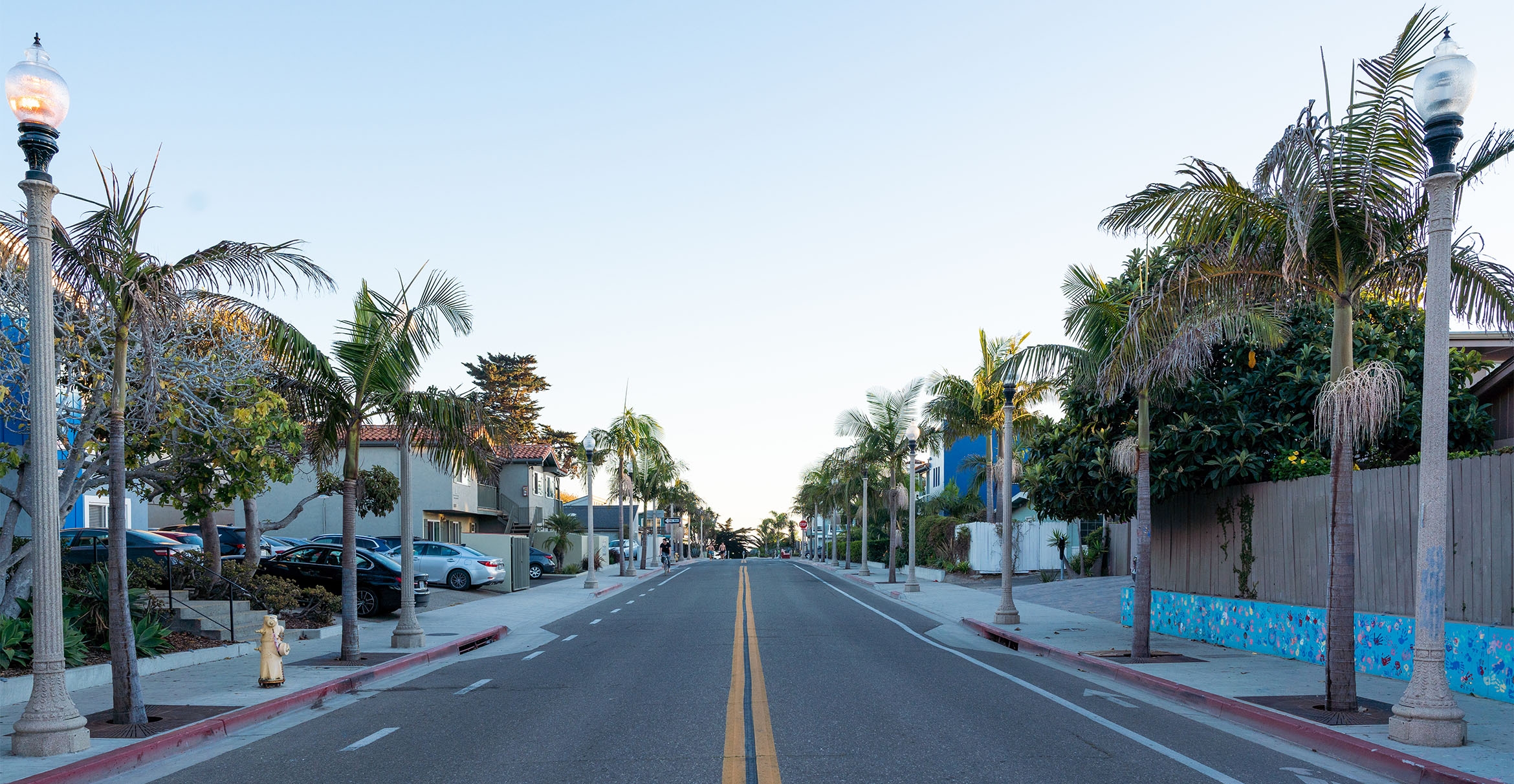 An empty street lined with palm trees
