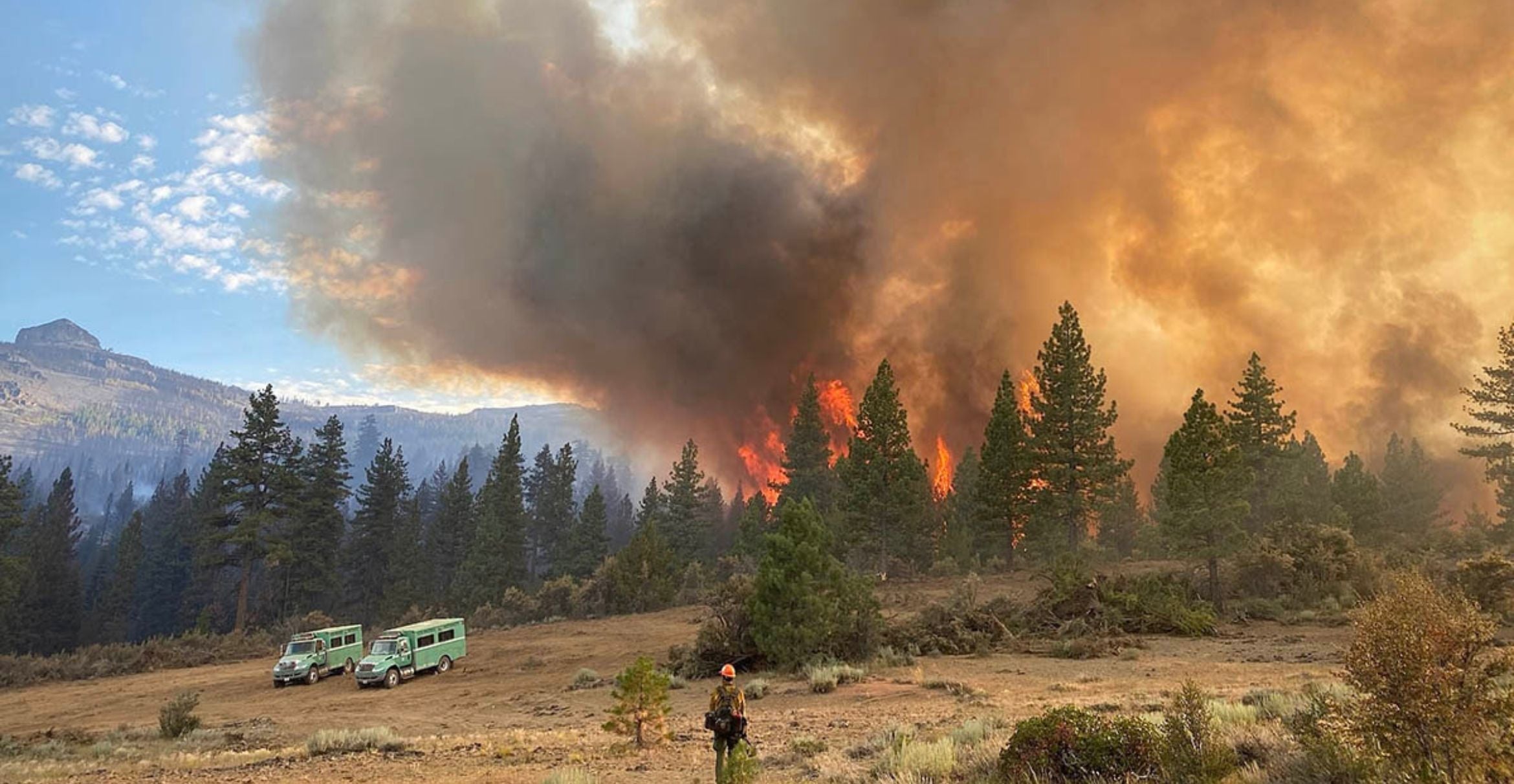 color photograph of a firefighter watching a forest fire