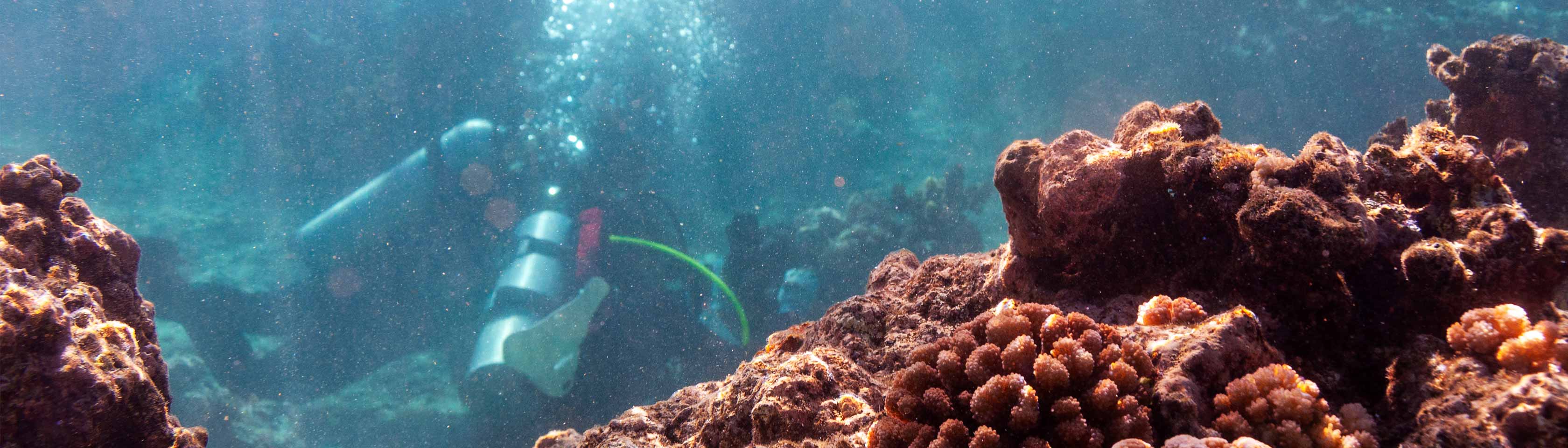 Erika Eliason diving near coral reef