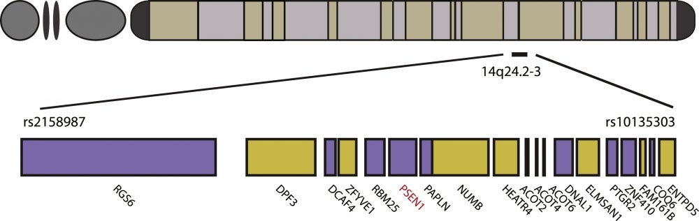 Minimal haplotype containing E280 A Minimal haplotype containing E280 A