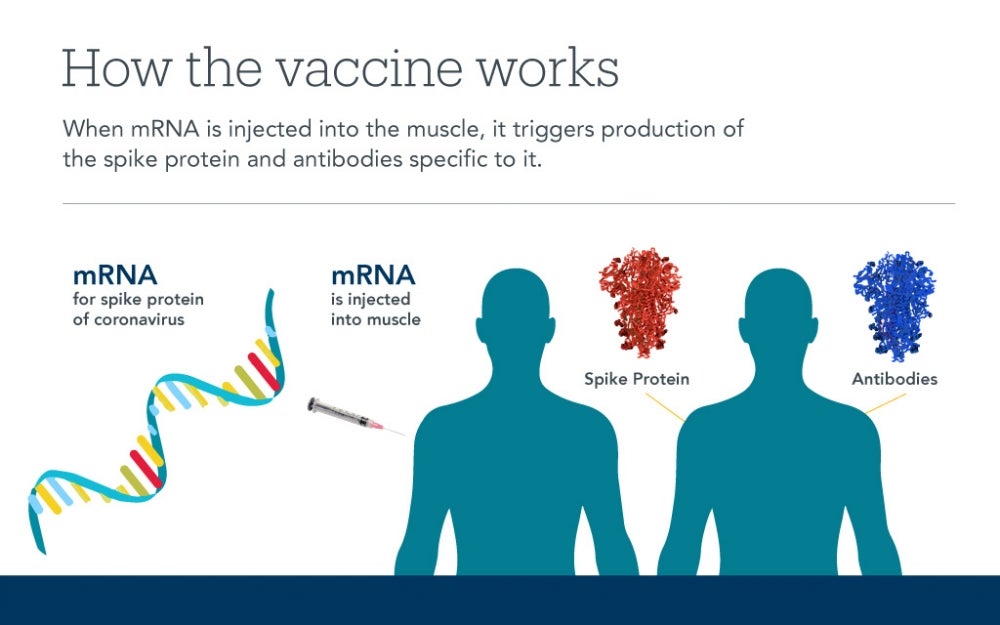 How the Vaccine Work