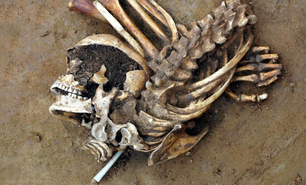 The skeleton of a Bronze Age Briton found in Kent The skeleton of a Bronze Age Briton found in Kent