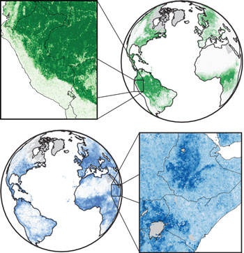 The illustrations show how the MOSAIKS machine learning system predicts, in fine detail, forest cover and population