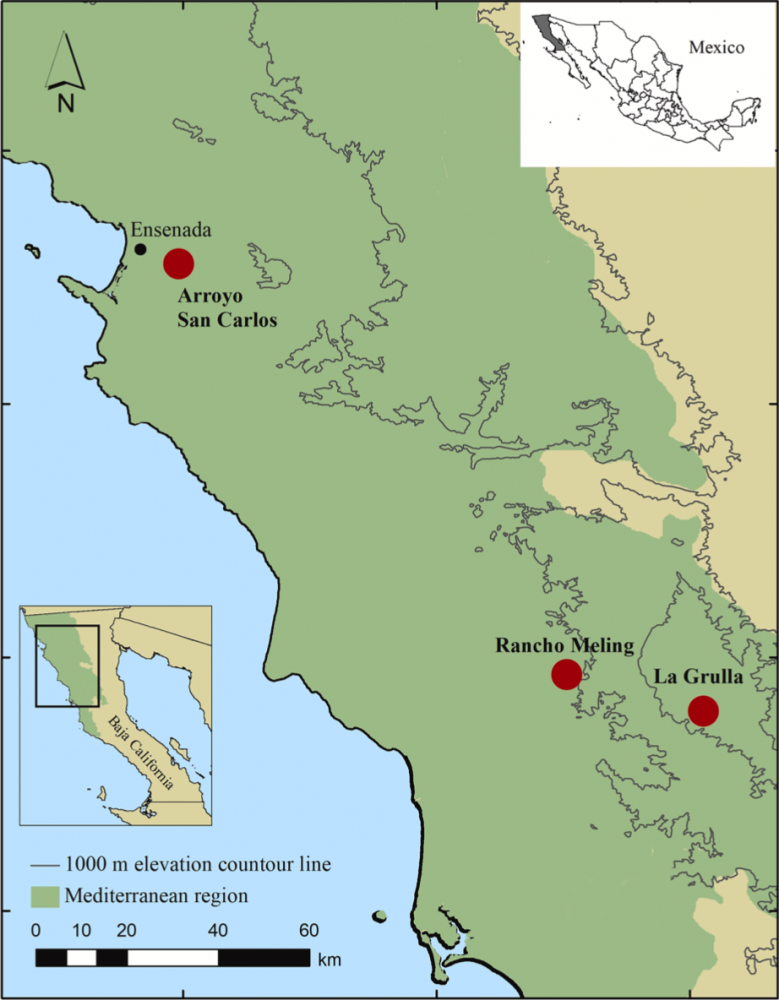 Map of survey locations