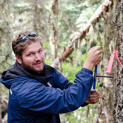 Gregory Quetin collecting sample from tree