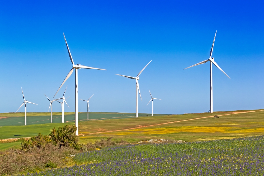 Wind farm in Western Cape, South Africa