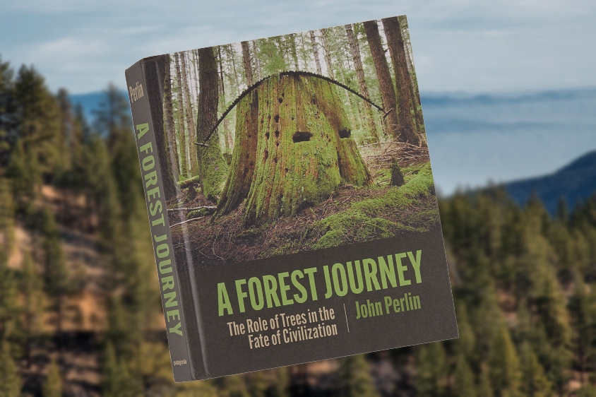 The cover of A Forest Journey by John Perlin with a forest in the background