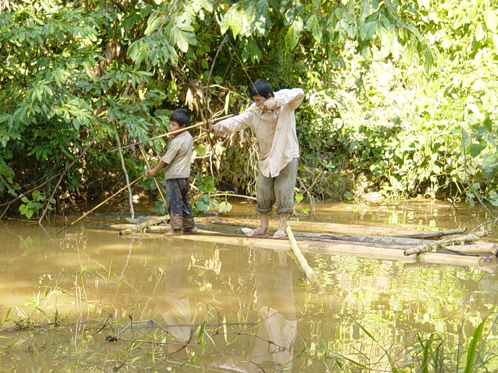 Tsimané fishing with bows and arrows