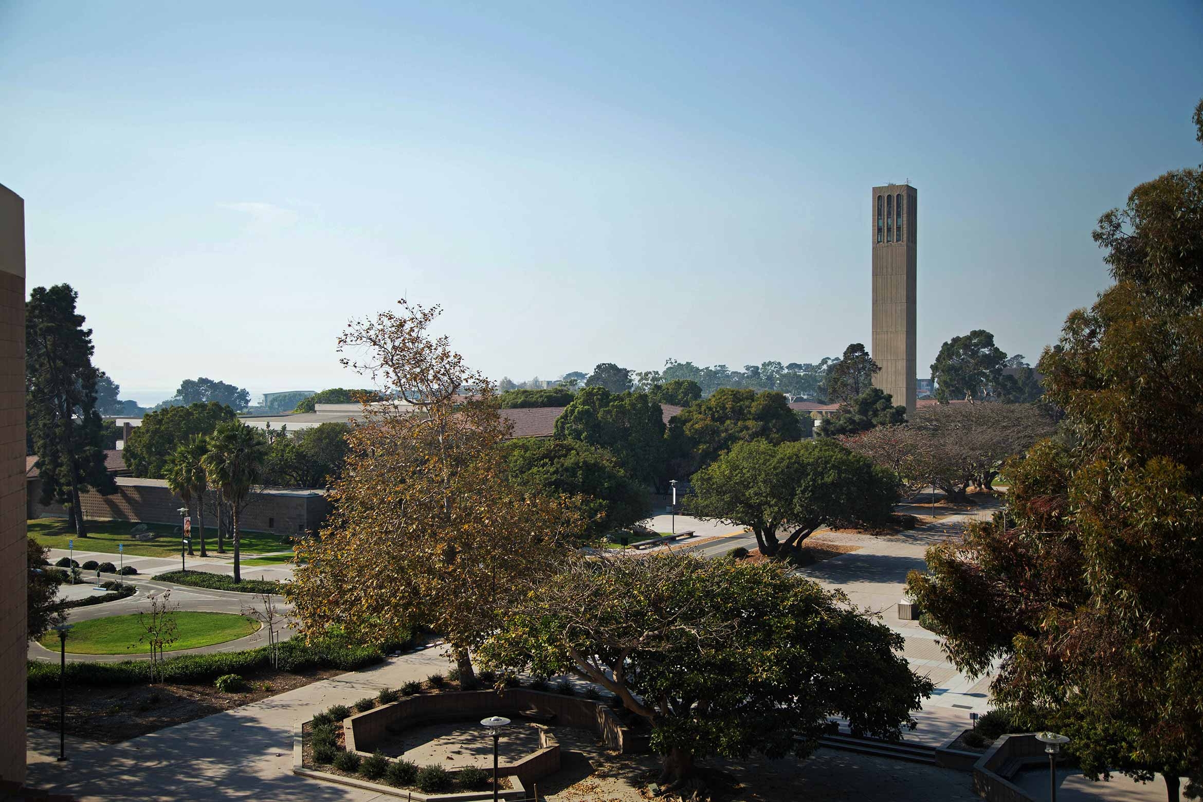 The campus canopy with Storke Tower in the background.