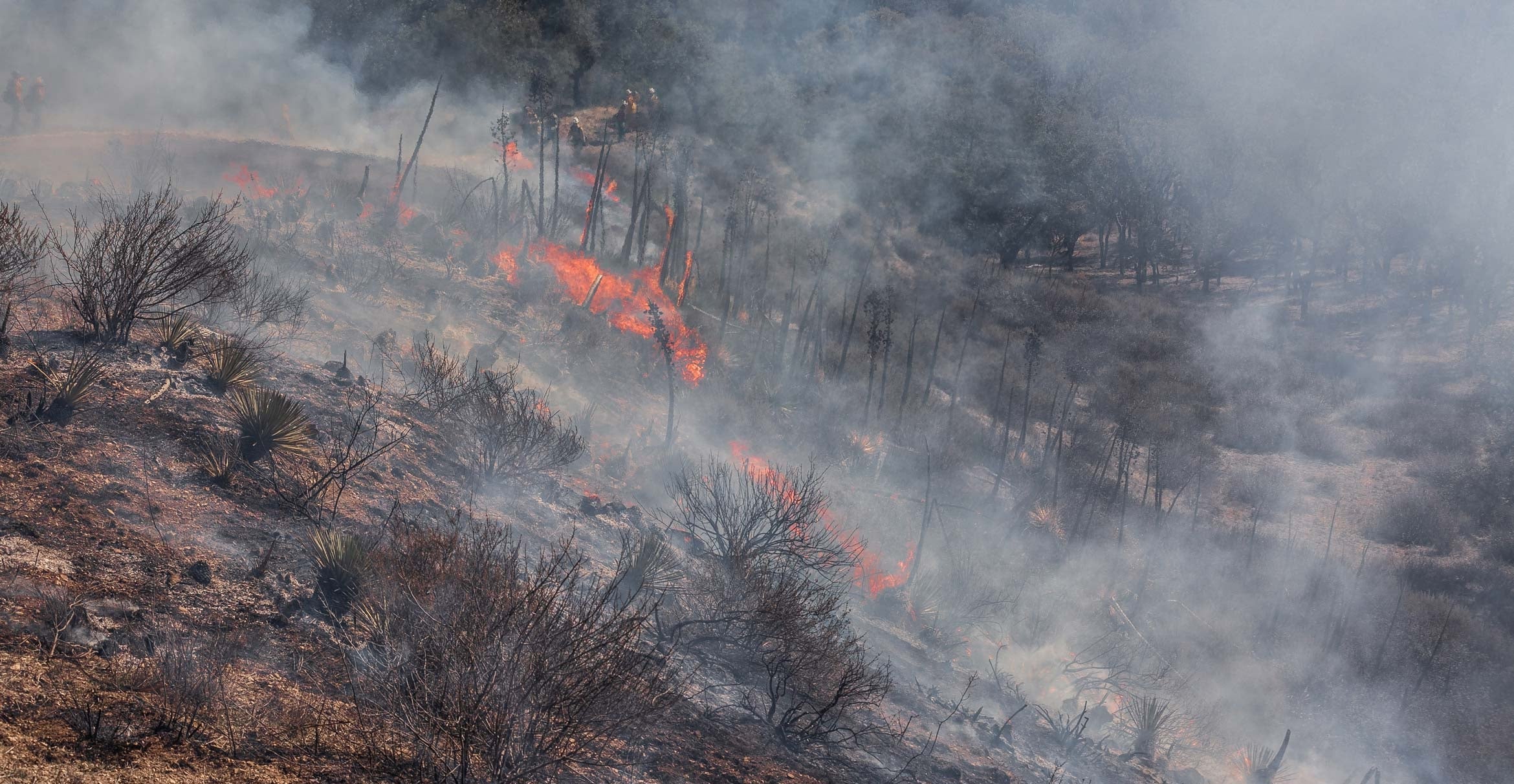 Burning hillside at Sedgwick Preserve