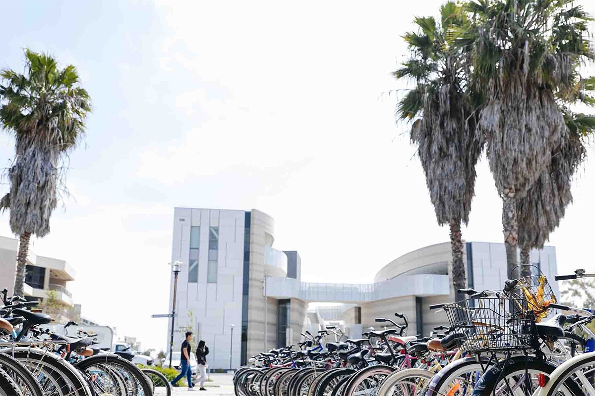 Bicycles parked near the Interactive Learning Pavilion