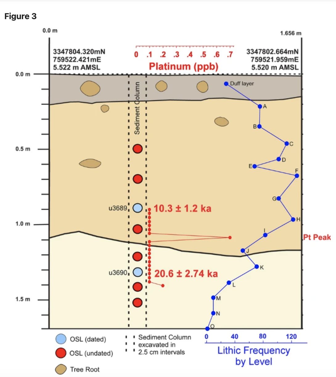 a figure showing the profile of one of the dig sites at Wakulla Springs