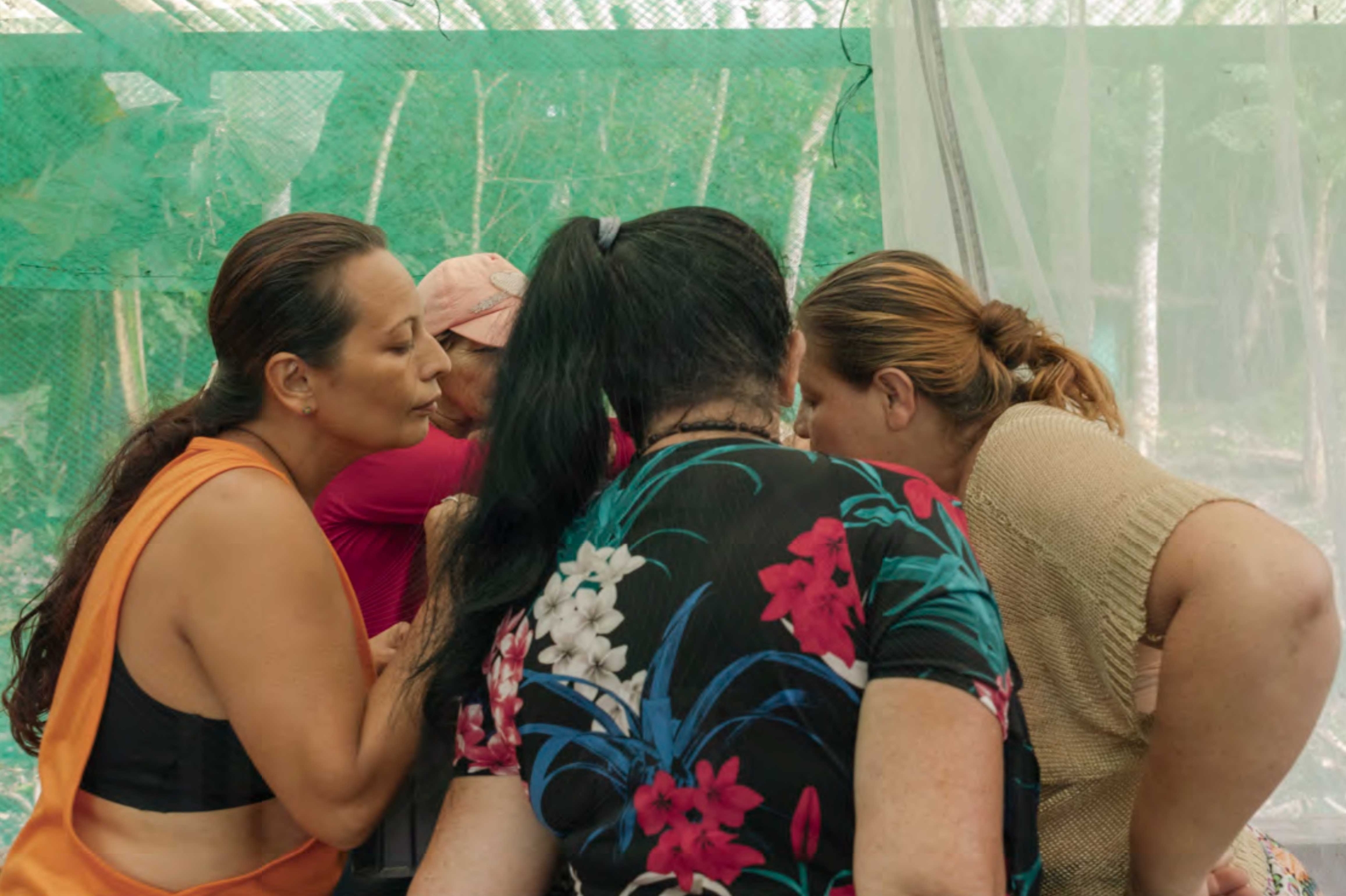women with dark skin and hair inside a mosquito net tent huddle around something