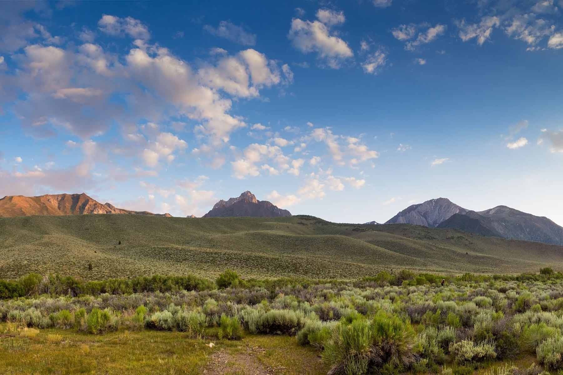 Natural Reserve System landscape of SNARL