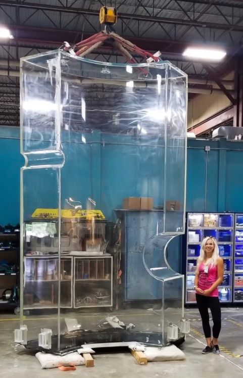 a woman stands near a tall acrylic chamber