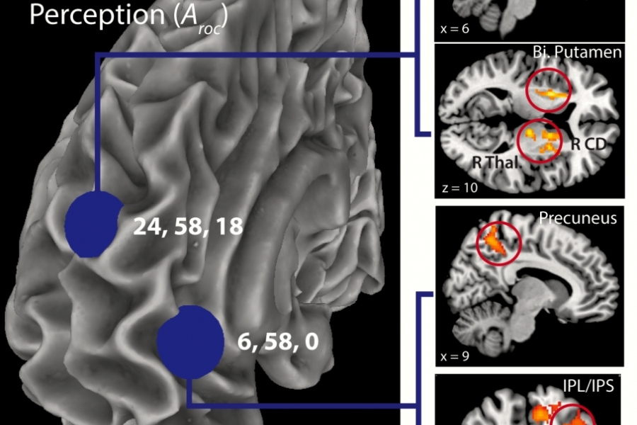 fMRI connectivity results