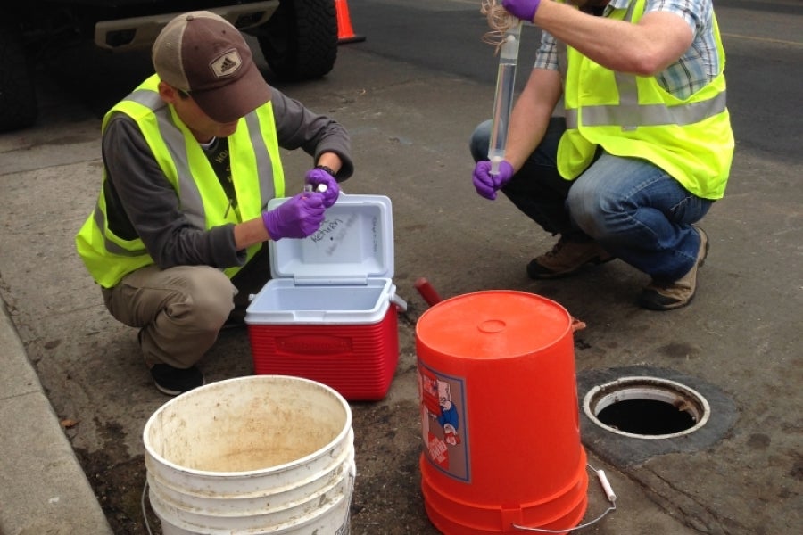 Patricia Holden The Current