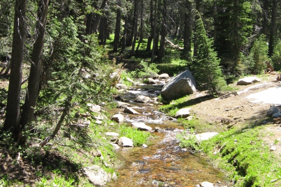 Sierra Stream