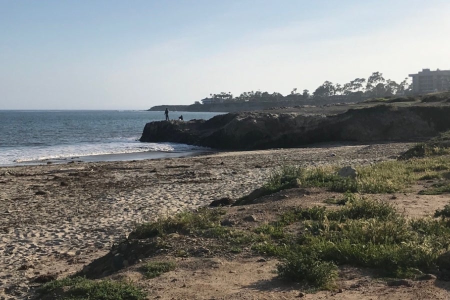 Patricia Holden The Current