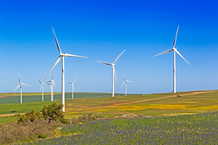 Wind farm in Western Cape, South Africa